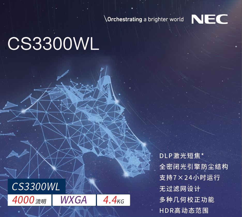 NEC CS3300WL-1.jpeg